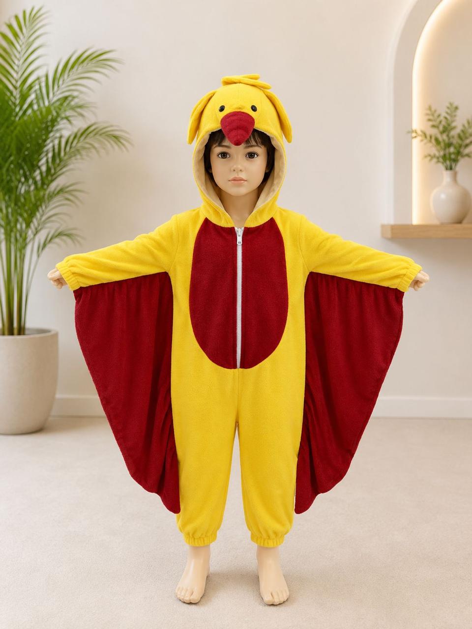 Fancy Dress Costumes