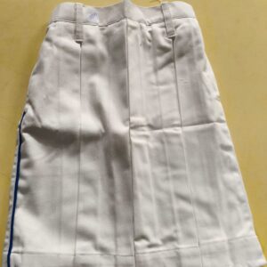 House Skirt (Blue)