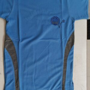 QVS House Tshirt ( Blue)